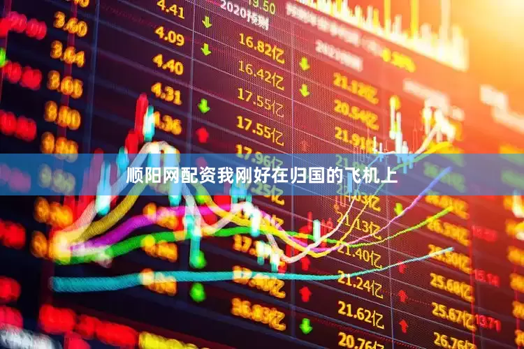 顺阳网配资我刚好在归国的飞机上