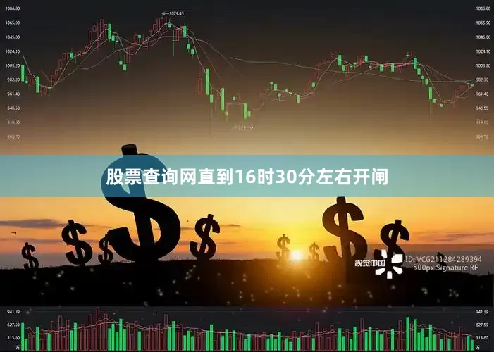 股票查询网直到16时30分左右开闸