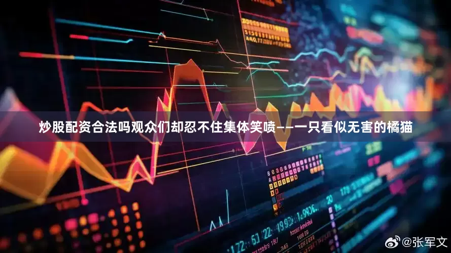 炒股配资合法吗观众们却忍不住集体笑喷——一只看似无害的橘猫