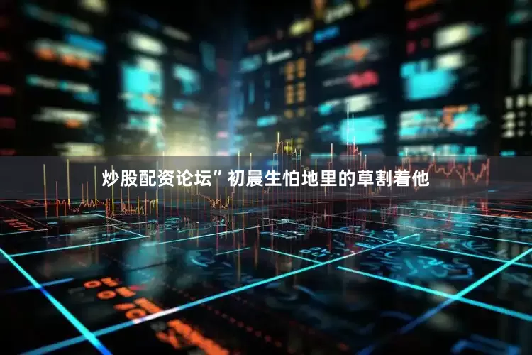 炒股配资论坛”初晨生怕地里的草割着他
