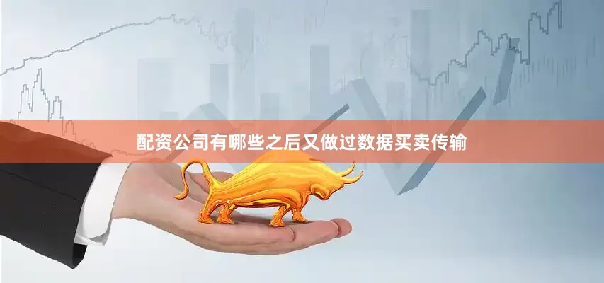 配资公司有哪些之后又做过数据买卖传输
