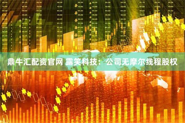 鼎牛汇配资官网 露笑科技：公司无摩尔线程股权